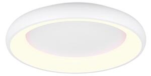 TRIO 649616031 CARDONA stropné svietidlo D620mm SMD LED 38W/4400lm 2300+3000+4000K biela matná, switchdimmer