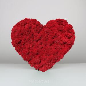 Machový obraz - červené srdce