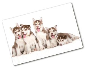 Kuchynská doska zo skla Šteňa Husky