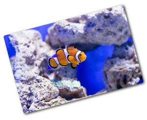 Kuchynská doska zo skla Nemo koralový útes