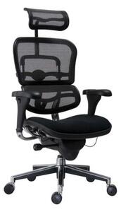 Kancelárska stolička - kreslo Ergohuman Antares - 2 ks