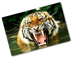 Kuchynská doska zo skla Tiger pl-ko-80x52-f-609474