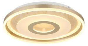 Globo 48571-40 - LED stropné svietidlo CARDENAS LED/40W/230V 3000K priemer 50 cm