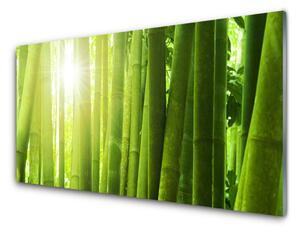 Nástenný panel  Bambus rastlina 100x50 cm