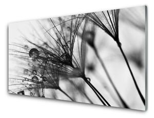 Nástenný panel  Abstrakcie rastlina 125x50 cm