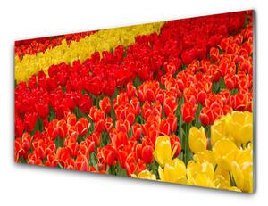 Nástenný panel  Tulipány kvety 120x60 cm