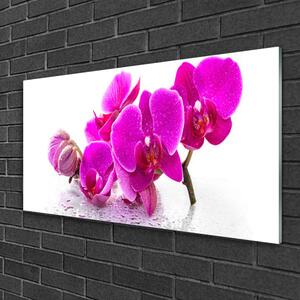 Obraz na akrylátovom skle Kvety rastlina 120x60 cm 2 Prívesky
