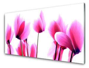 Nástenný panel  Kvetiny rastlina 125x50 cm