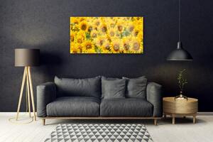Obraz na skle Slunecznice rastlina 125x50 cm