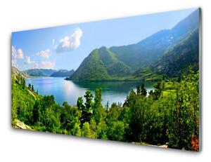 Nástenný panel  Les jazero hory príroda 125x50 cm