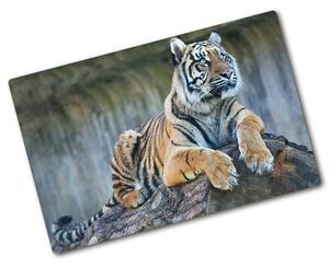 Kuchynská doska zo skla Tiger pl-ko-80x52-f-97013441