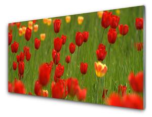 Nástenný panel  Tulipány rastlina 125x50 cm