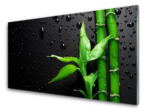 Nástenný panel  Bambus listy rastlina 100x50 cm
