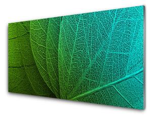 Nástenný panel  Abstrakcie listy rastlina 100x50 cm