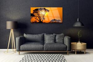 Obraz na skle Strom slnko príroda 125x50 cm