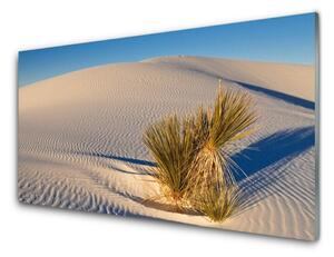 Obraz na skle Púšť krajina 120x60 cm 2 Prívesky