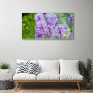 Skleneny obraz Fialové kvety lúka 125x50 cm