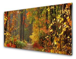 Sklenený obklad Do kuchyne Les príroda jeseň 100x50 cm