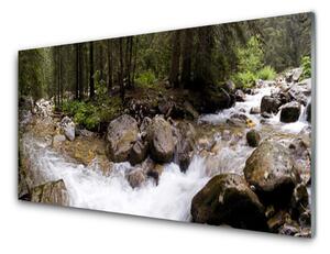 Sklenený obklad Do kuchyne Les rieka vodopády 120x60 cm