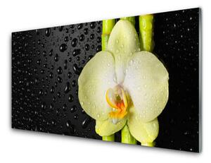 Sklenený obklad Do kuchyne Bambus kvet orchidea 100x50 cm