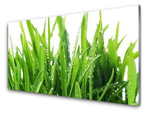 Nástenný panel  Tráva rastlina 125x50 cm