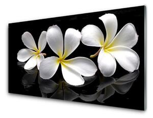 Obraz na skle Kvety rastlina 120x60 cm 2 Prívesky