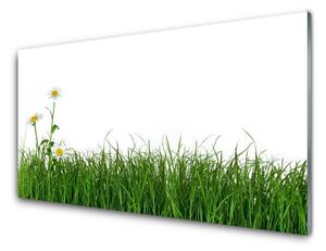 Nástenný panel  Burina príroda rastlina 125x50 cm