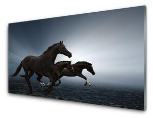 Nástenný panel  Kone zvieratá 125x50 cm
