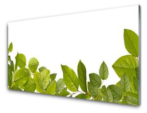 Sklenený obklad Do kuchyne Listy príroda rastlina 125x50 cm