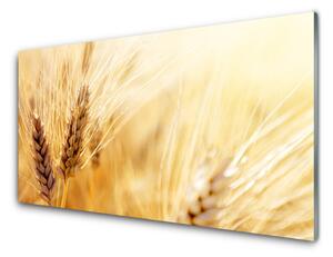 Skleneny obraz Pšenica rastlina príroda 140x70 cm 2 Prívesky