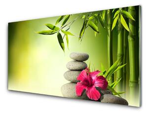 Sklenený obklad Do kuchyne Bambus kvet kamene zen 100x50 cm