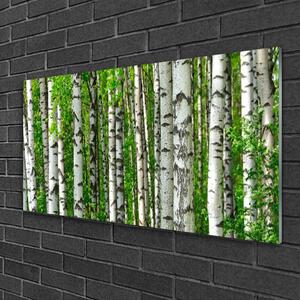 Skleneny obraz Les rastlina príroda 125x50 cm