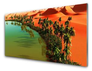 Sklenený obklad Do kuchyne Jazero púšť palmy 125x50 cm