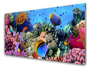 Nástenný panel  Koralový útes príroda 140x70 cm