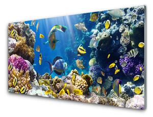 Nástenný panel  Koralový útes príroda 120x60 cm