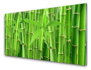 Nástenný panel  Bambus stonka kvet rastlina 125x50 cm