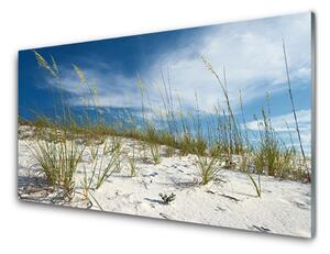 Obraz na skle Pláž príroda 125x50 cm