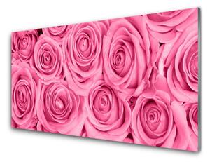 Nástenný panel  Ruže kvety rastlina 125x50 cm