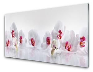 Obraz na skle Kvety rastlina príroda 140x70 cm 2 Prívesky