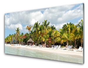 Nástenný panel  Pláž palma stromy príroda 100x50 cm