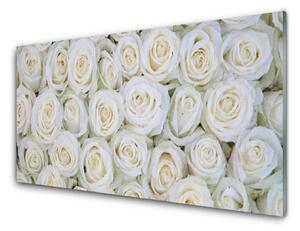 Nástenný panel  Ruže kvety rastlina 100x50 cm