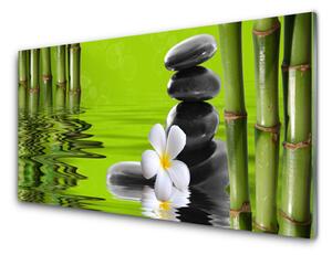 Nástenný panel  Bambus kamene rastlina 100x50 cm