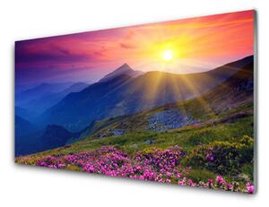 Nástenný panel  Hory kvet lúka krajina 125x50 cm