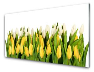 Nástenný panel  Tulipány kvety rastlina 125x50 cm