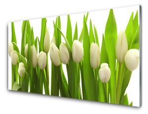 Nástenný panel  Tulipány kvety rastlina 100x50 cm