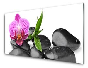 Nástenný panel  Kvet kamene umenie 125x50 cm