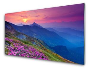 Nástenný panel  Hory lúka kvety príroda 100x50 cm