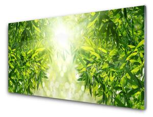 Nástenný panel  Listy príroda rastlina 100x50 cm