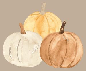 Papierové obrúsky Pumpkins – 20 ks