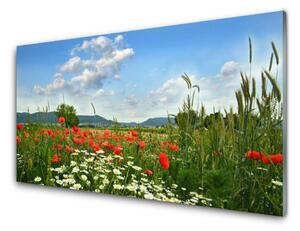 Skleneny obraz Lúka kvety príroda 120x60 cm 4 Prívesky